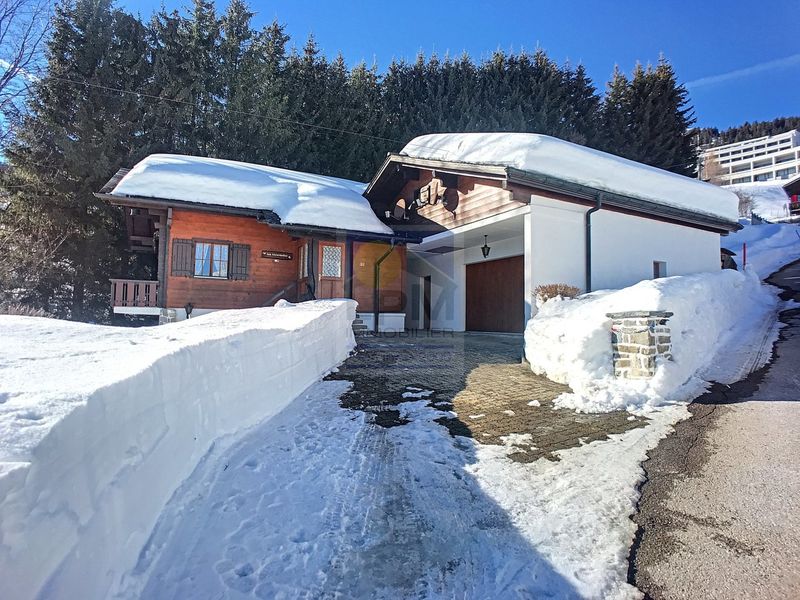 Cute large chalet close to the ski slopes!
