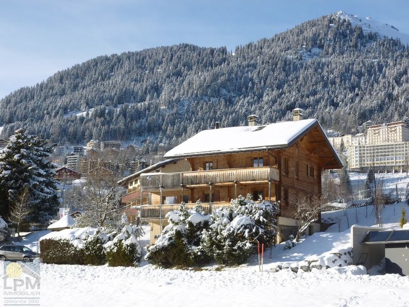 Large renovated chalet, 280m2, with separate 1 bedroom apartment