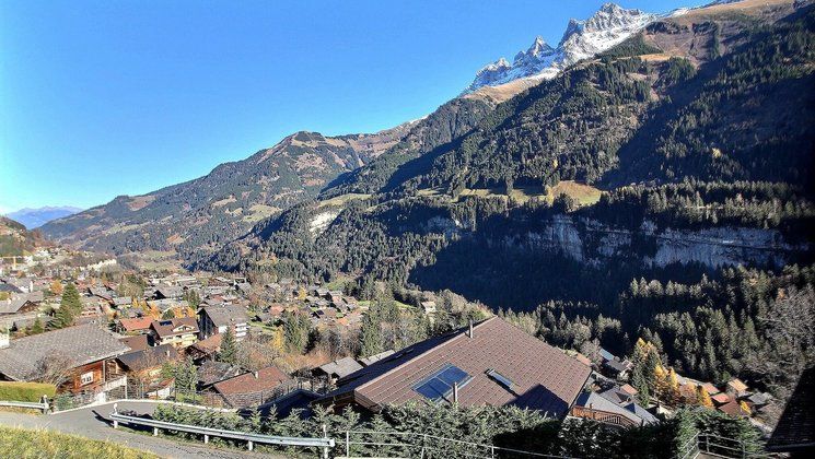 FOR SALE LAND IN CHAMPERY