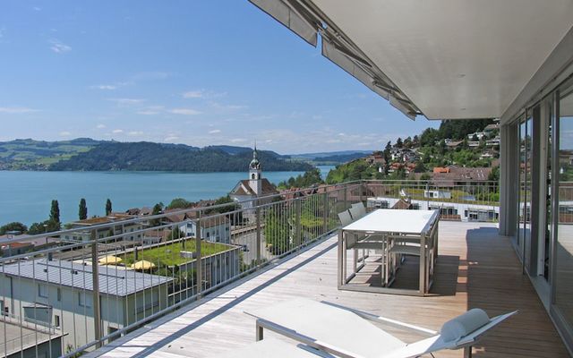 3.5 Room Attic Apartment with spectacular View